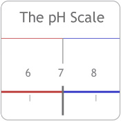 blog image pH scale